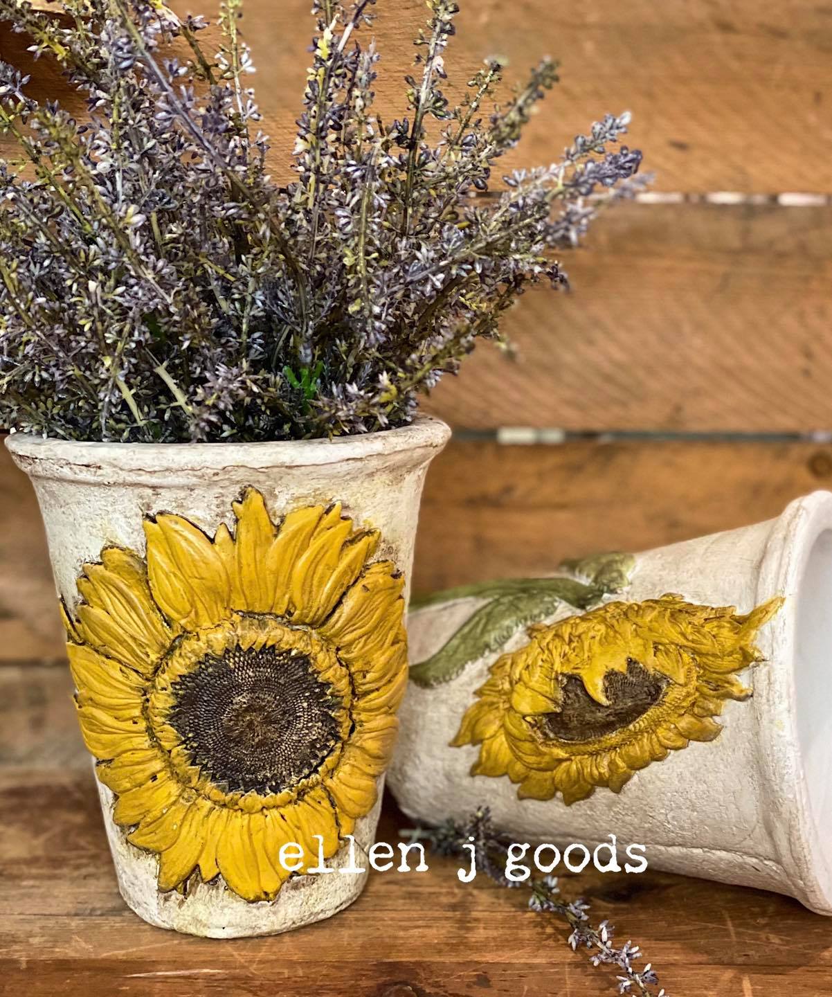 199355270_4500970073257900_2953294120302003905_n