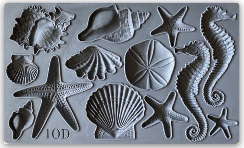 IOD-DM-seashells-ontoforma
