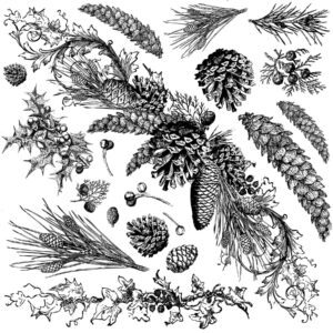 Evergreen dekor pecsét