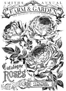 Catalogue of Roses transzfer