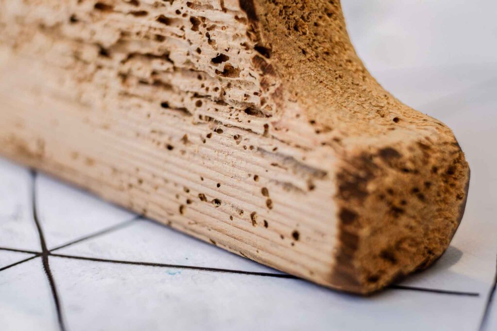 Nemiskacat szu fa nemiskacat hu