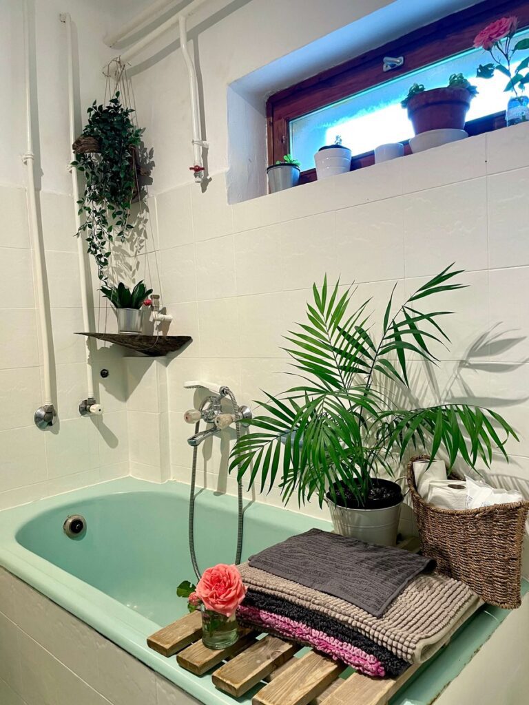 furdoszoba felujitas novenyek