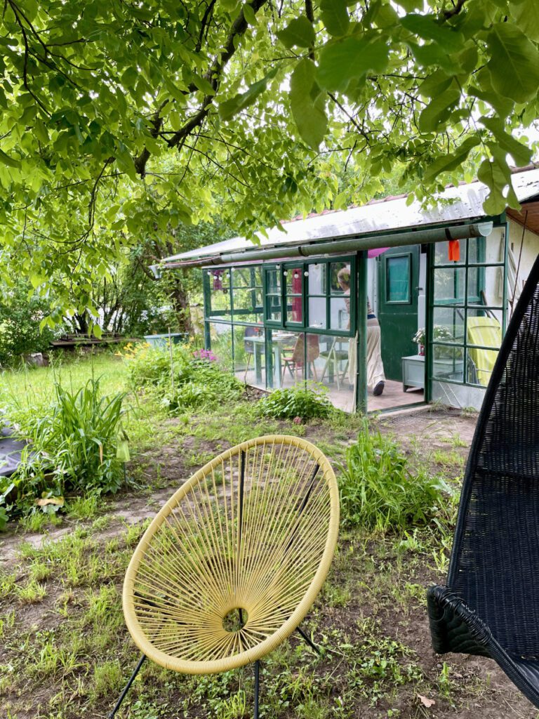 kerti uveghaz megmentese kismaros hazfeluitas csupor agnes 1