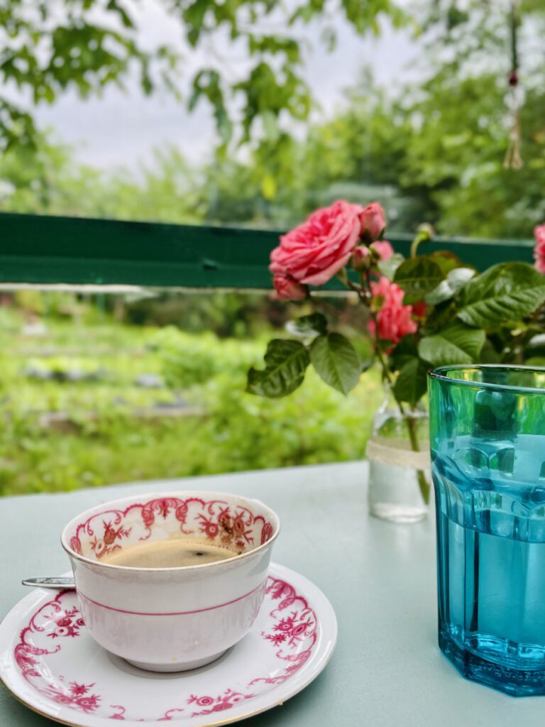 kerti uveghaz megmentese kismaros hazfeluitas csupor agnes 26