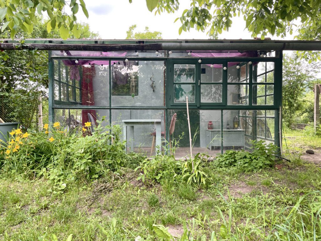 kerti uveghaz megmentese kismaros hazfeluitas csupor agnes 34