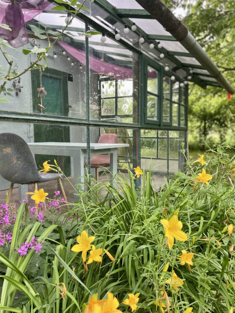 kerti uveghaz megmentese kismaros hazfeluitas csupor agnes 36