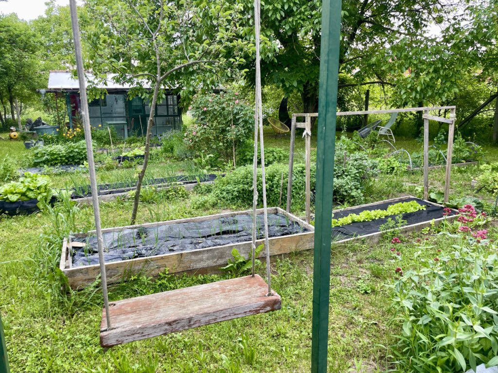 kerti uveghaz megmentese kismaros hazfeluitas csupor agnes 40