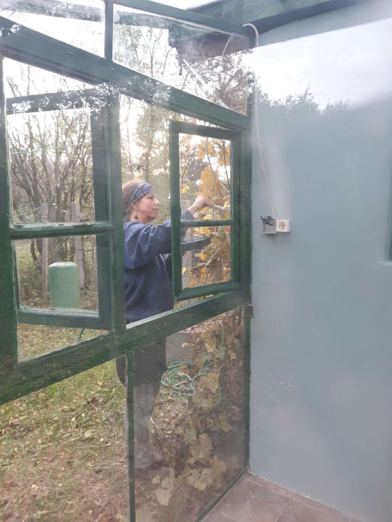 kerti uveghaz megmentese kismaros hazfelujitas csupor agnes elotte fotok 10