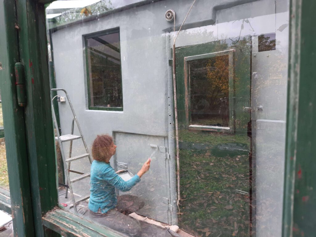 kerti uveghaz megmentese kismaros hazfelujitas csupor agnes elotte fotok 7