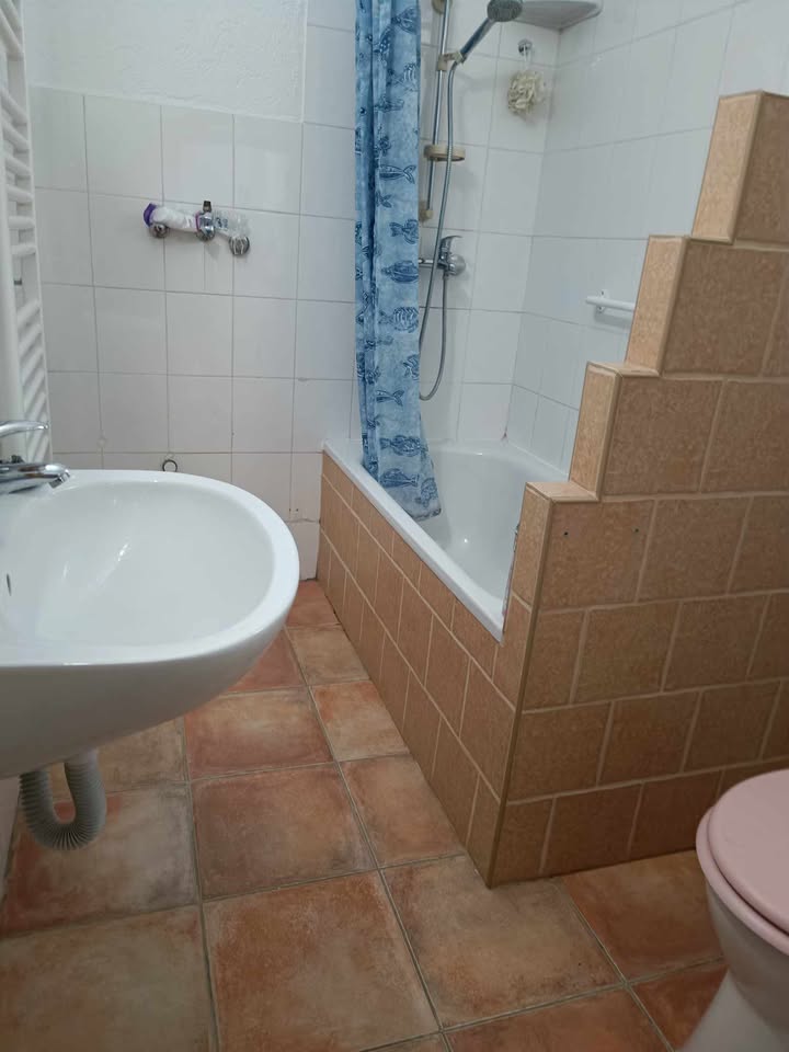 541000288 3682448355242395 420772579071981672 n