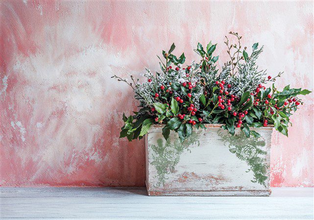 Holly & Pine pecsét IOD minta virágtartón Holly & Pine pecsét IOD minta virágtartón