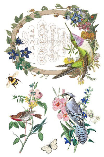 Flora Greca IOD Transzfer oldal 3 Flora Greca IOD Transzfer oldal 3