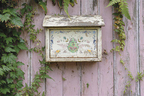 Fern Fables IOD Transzfer minta postaládán Fern Fables IOD Transzfer minta postaládán